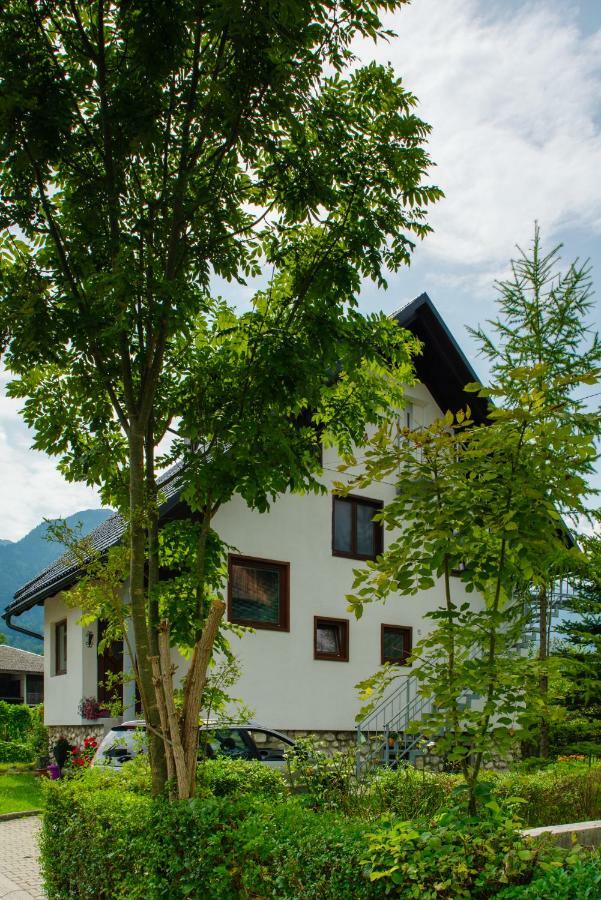 Apartment Ana Бохинь Экстерьер фото