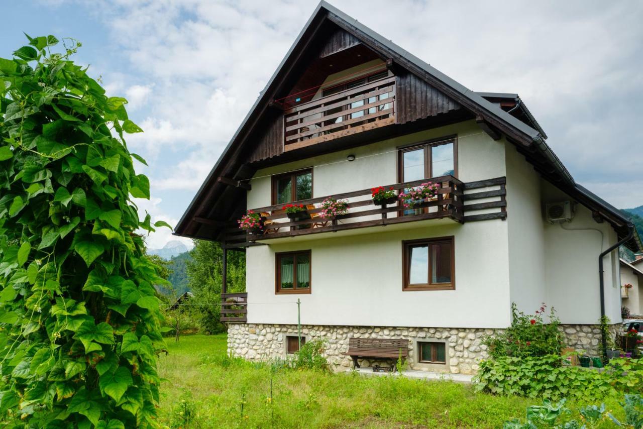 Apartment Ana Бохинь Экстерьер фото