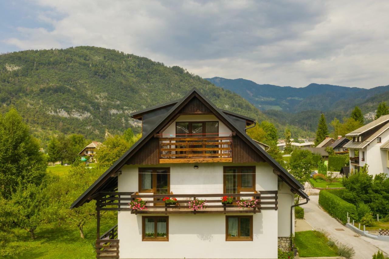 Apartment Ana Бохинь Экстерьер фото